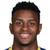 https://img.hbnjnm.com/img/football/player/8f34f88aa4554ac834f0eada57c52f01.png